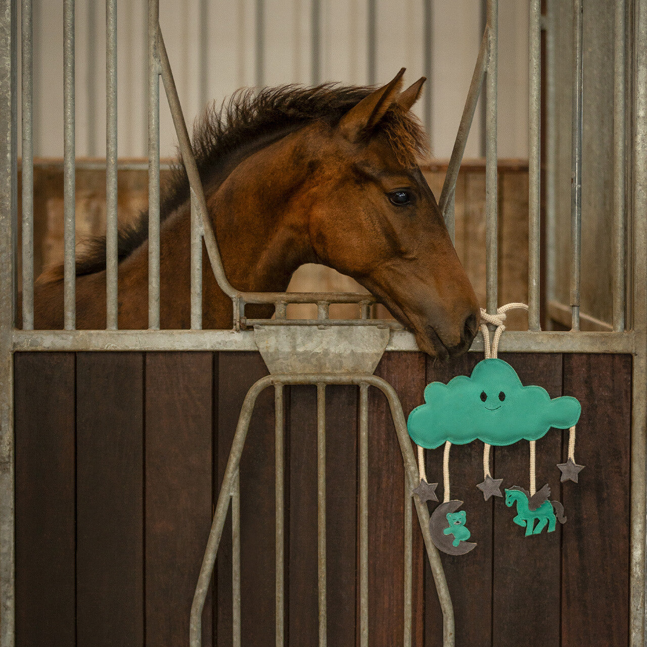 Horse toy Novy