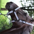 LAMI-CELL Midnight -  Lead Rope