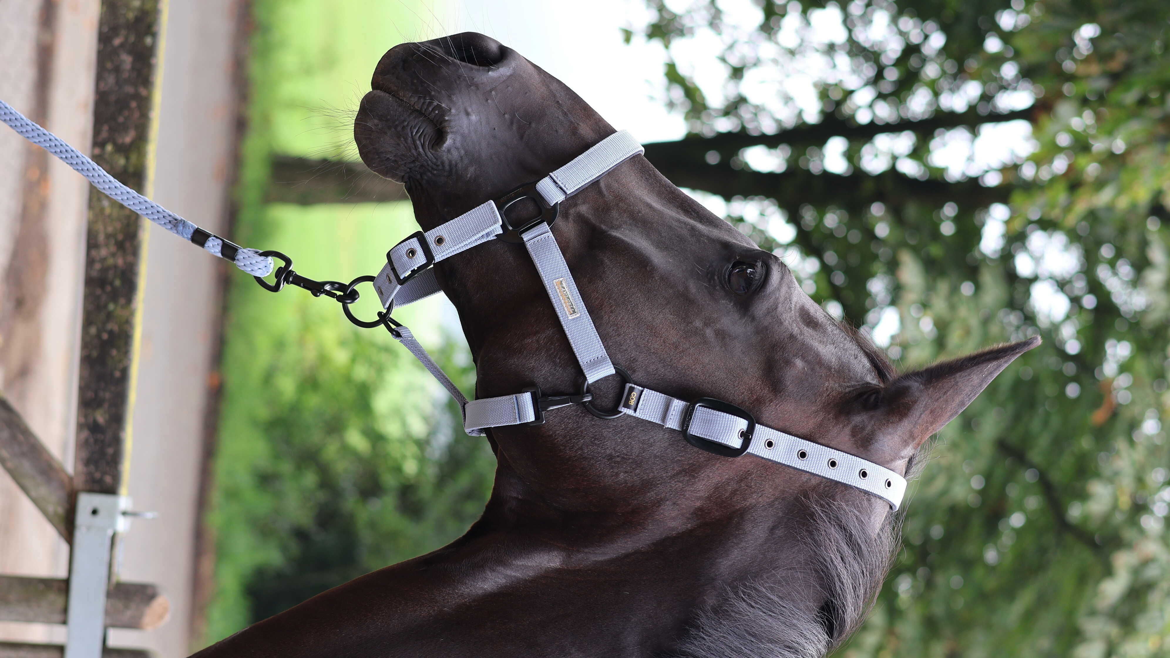 LAMI-CELL Midnight -  Lead Rope