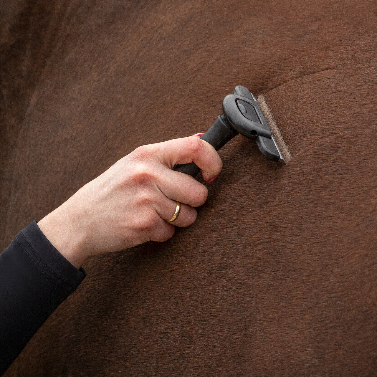 Shedding brush