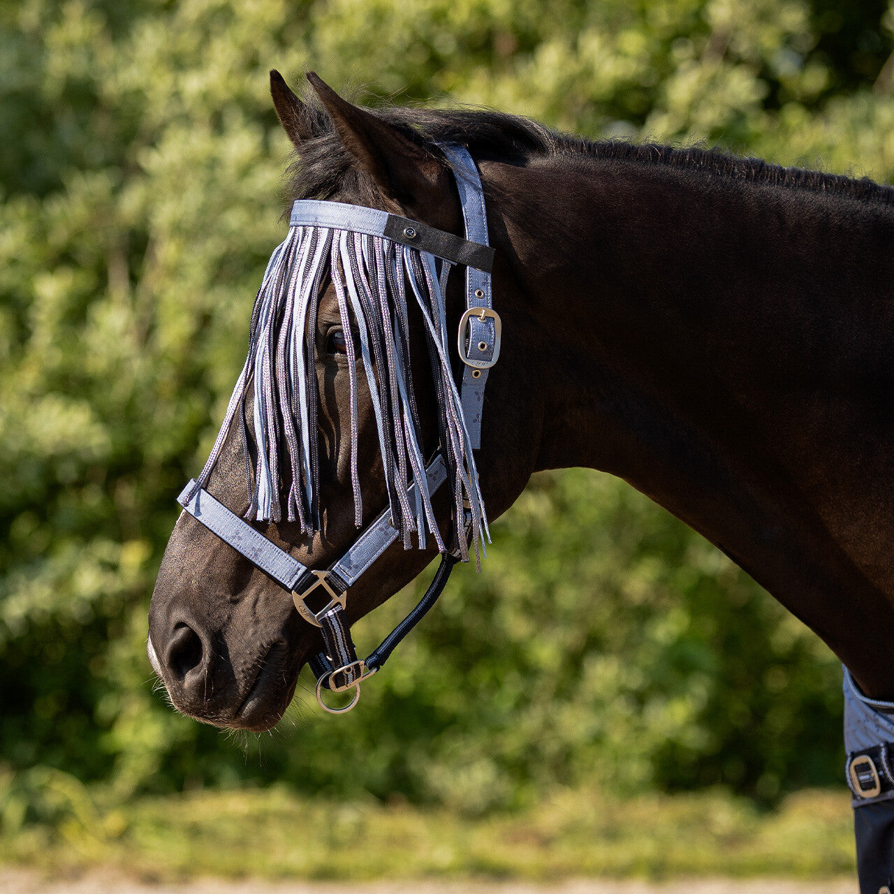 Fly fringe collection