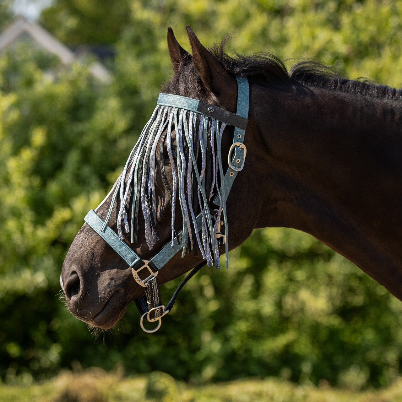 Fly fringe collection