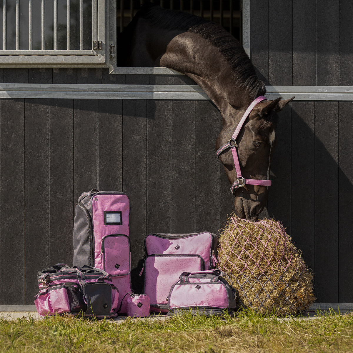 Safety helmet bag collection