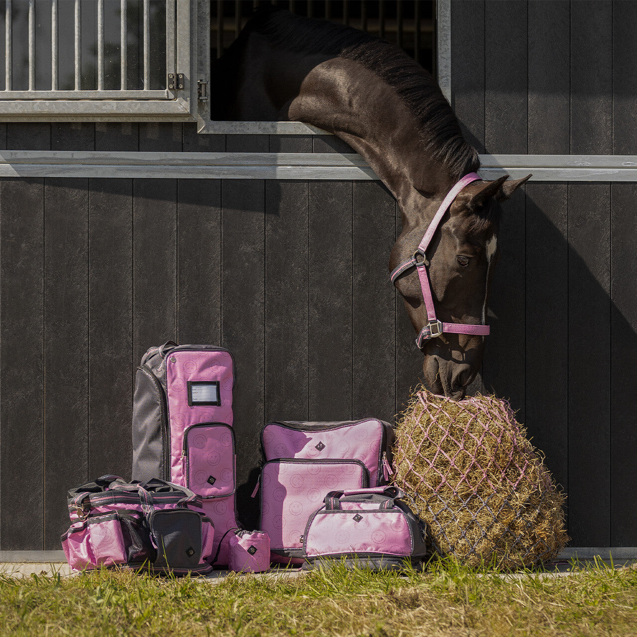 Safety helmet bag collection