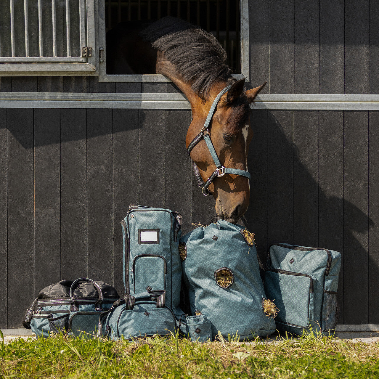 Boot bag collection