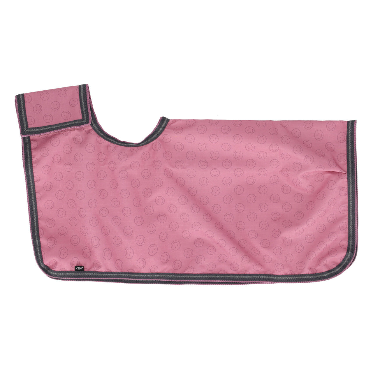 Exercise rug Hobby horse collection