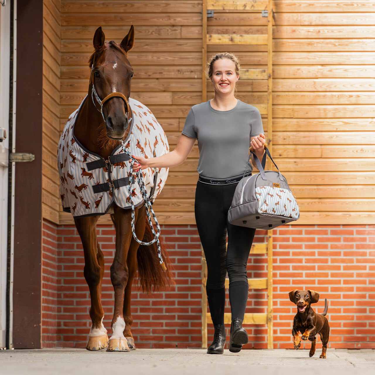 Safety helmet bag Stable Buddy