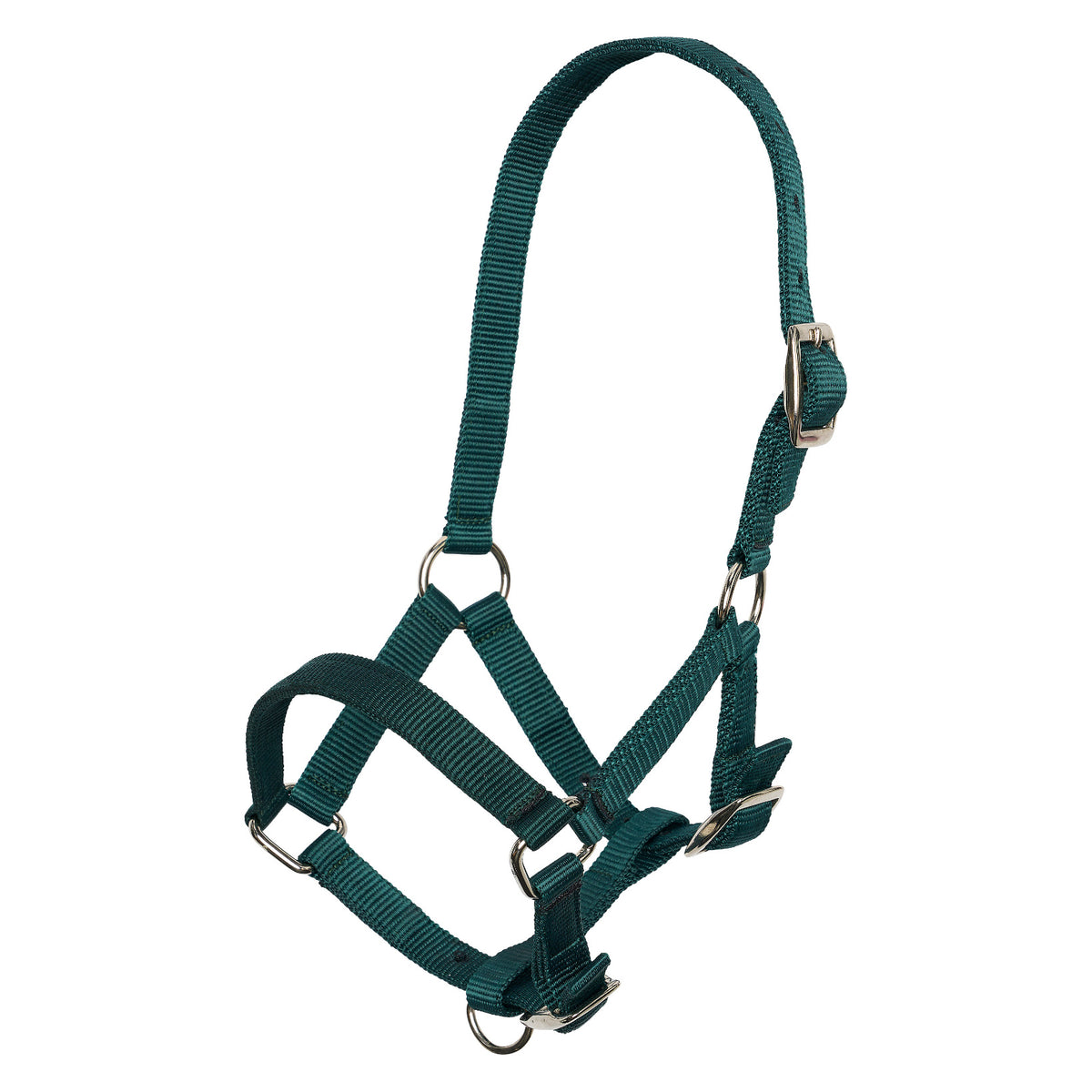 Headcollar foal IRH
