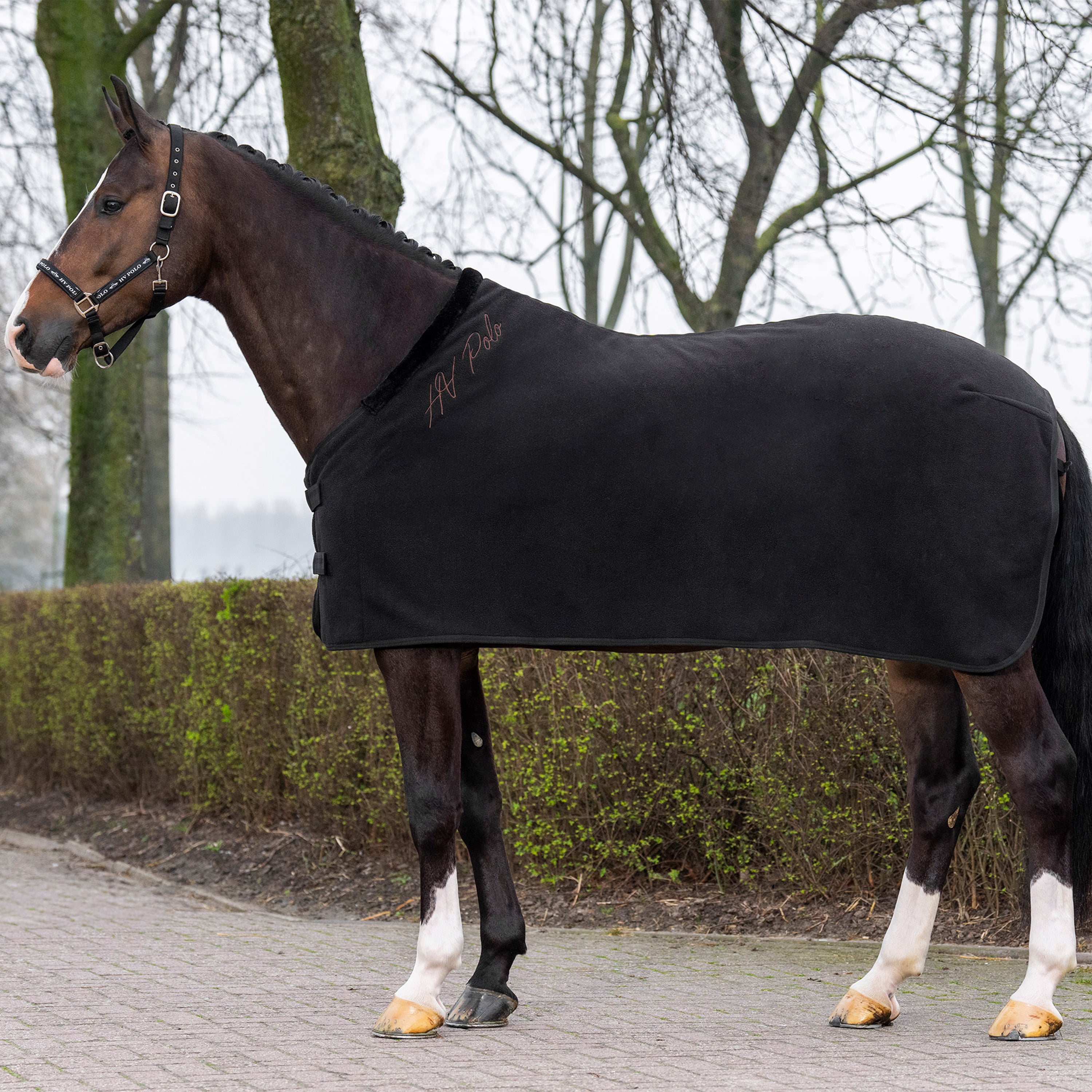 Fleece blanket HVPNena