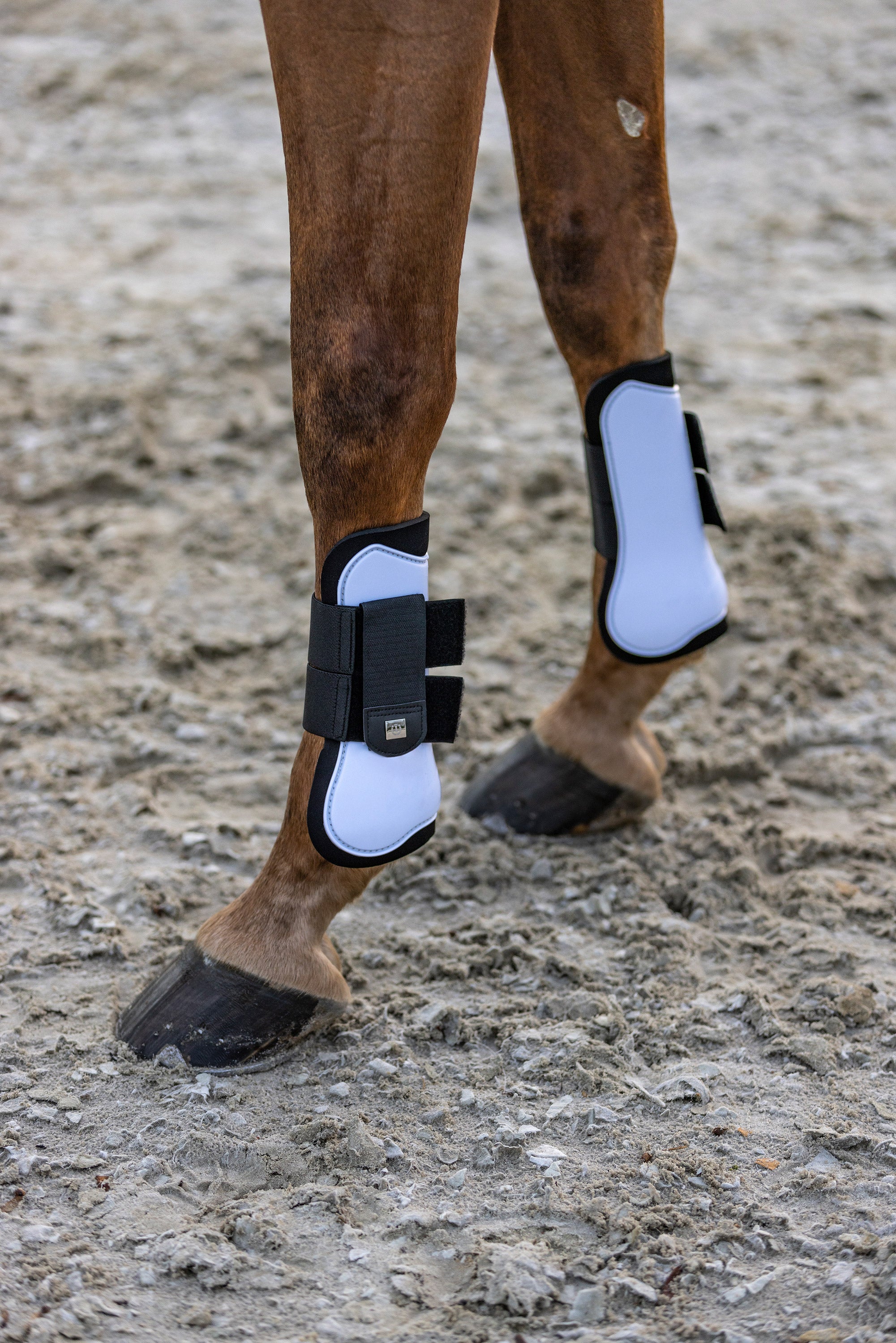 Tendon boots IRHLovely