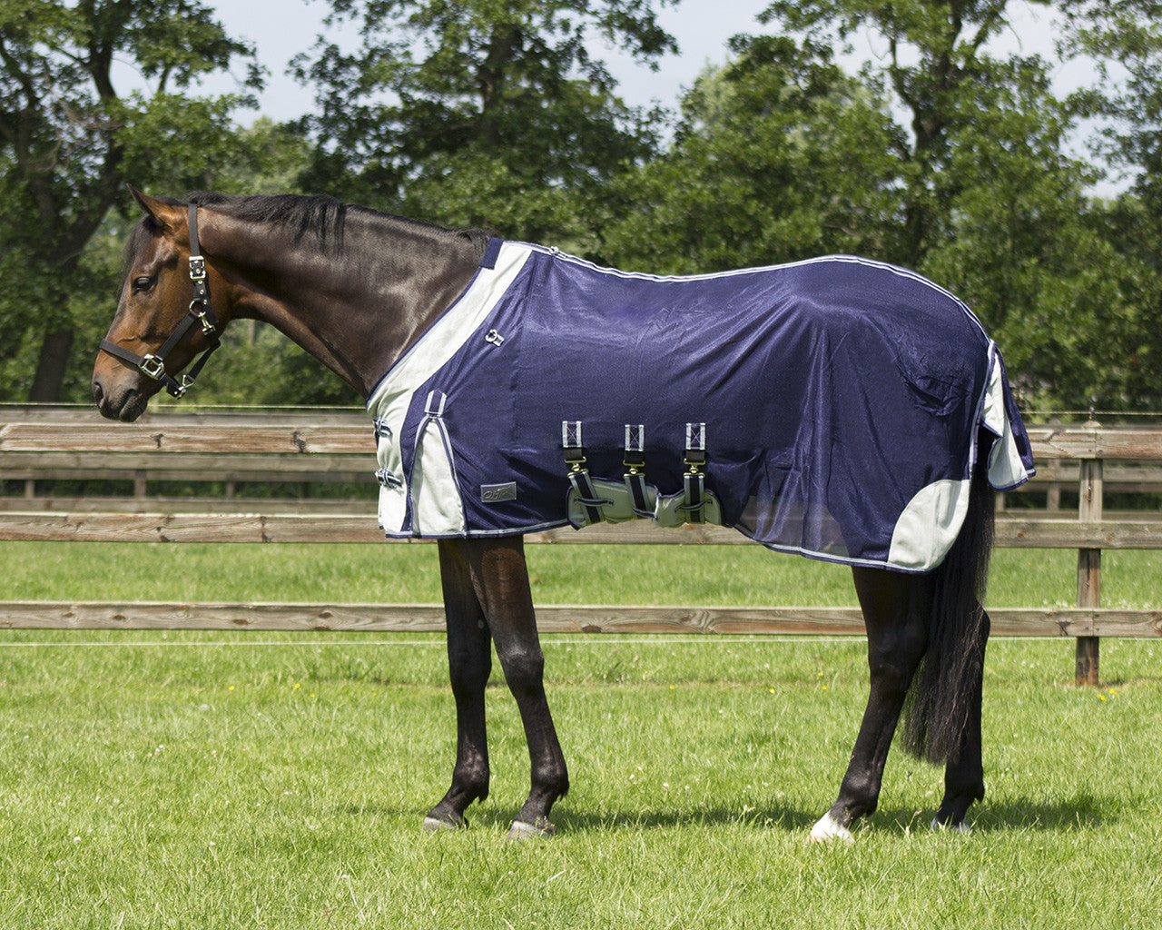 Anti-fly rug with neck and hood