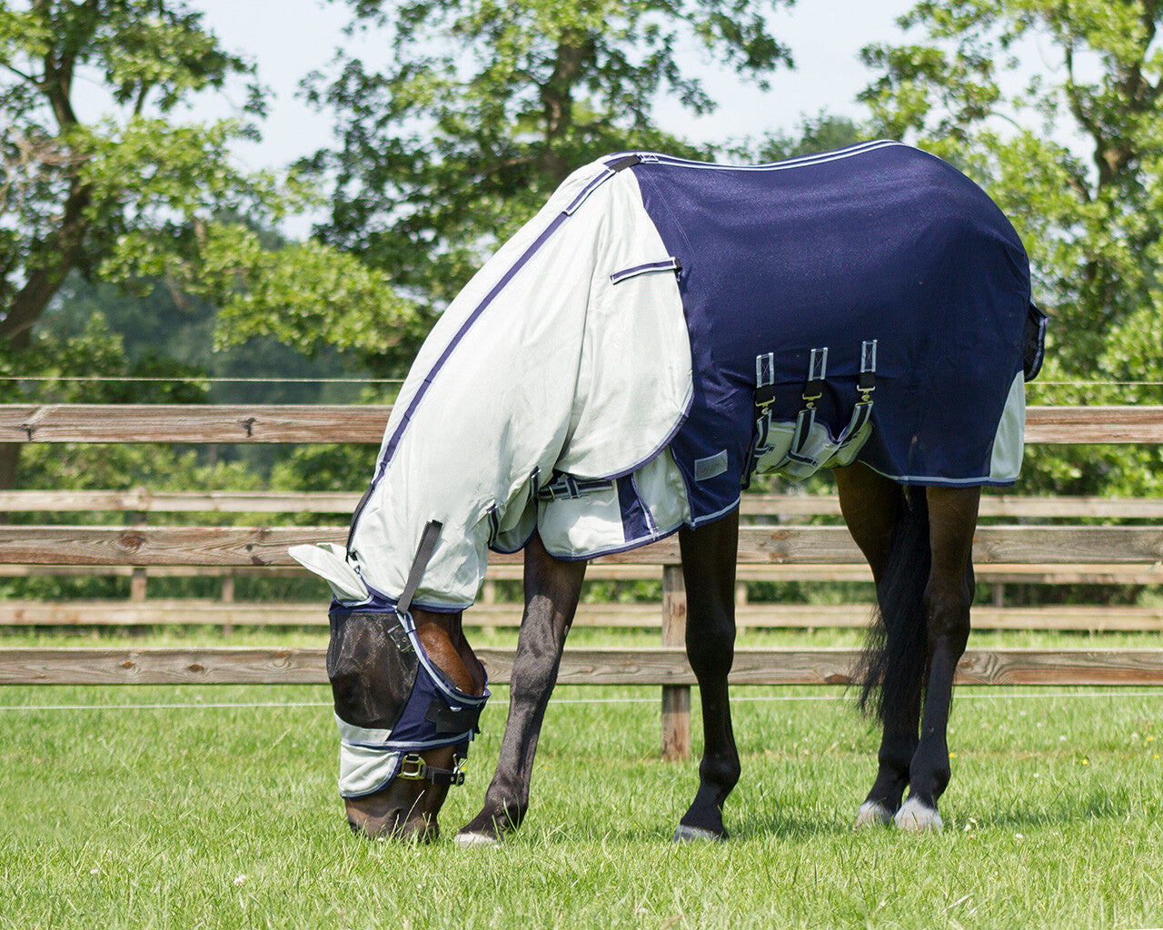 Fly rug with detachable neck and mask