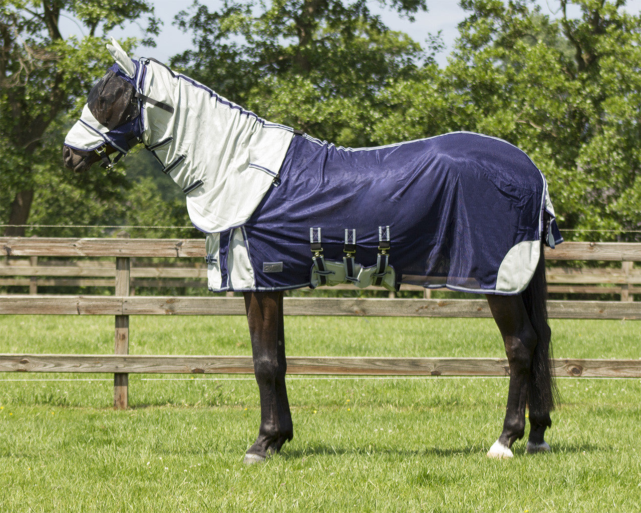 Anti-fly rug with neck and hood