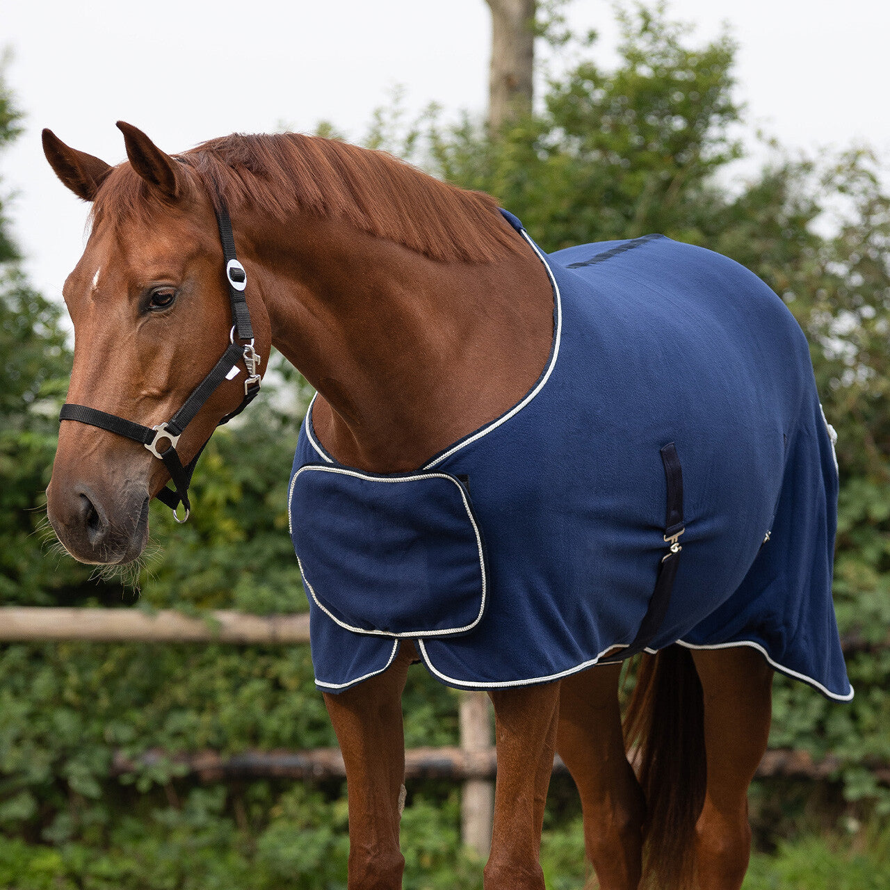 Fleece rug with ornament