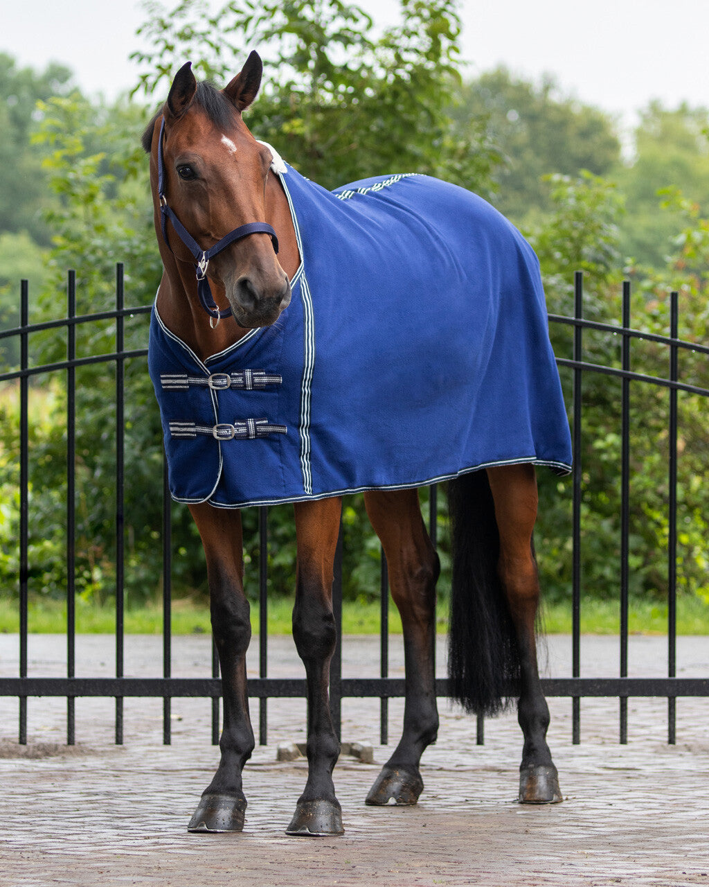 Fleece rug Basic without cross surcingles