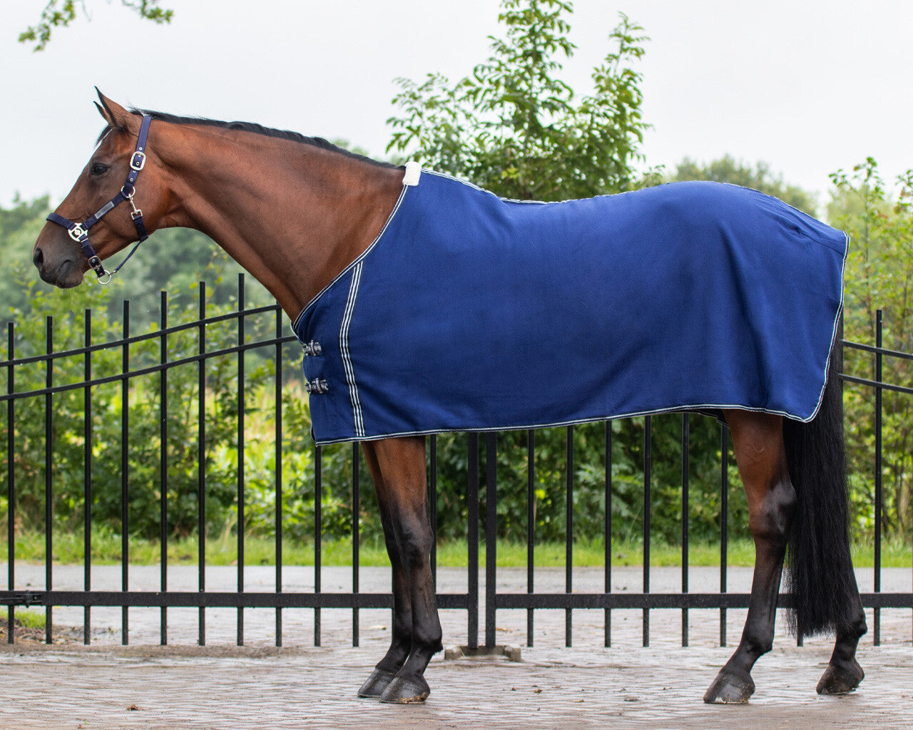 Fleece rug Basic without cross surcingles