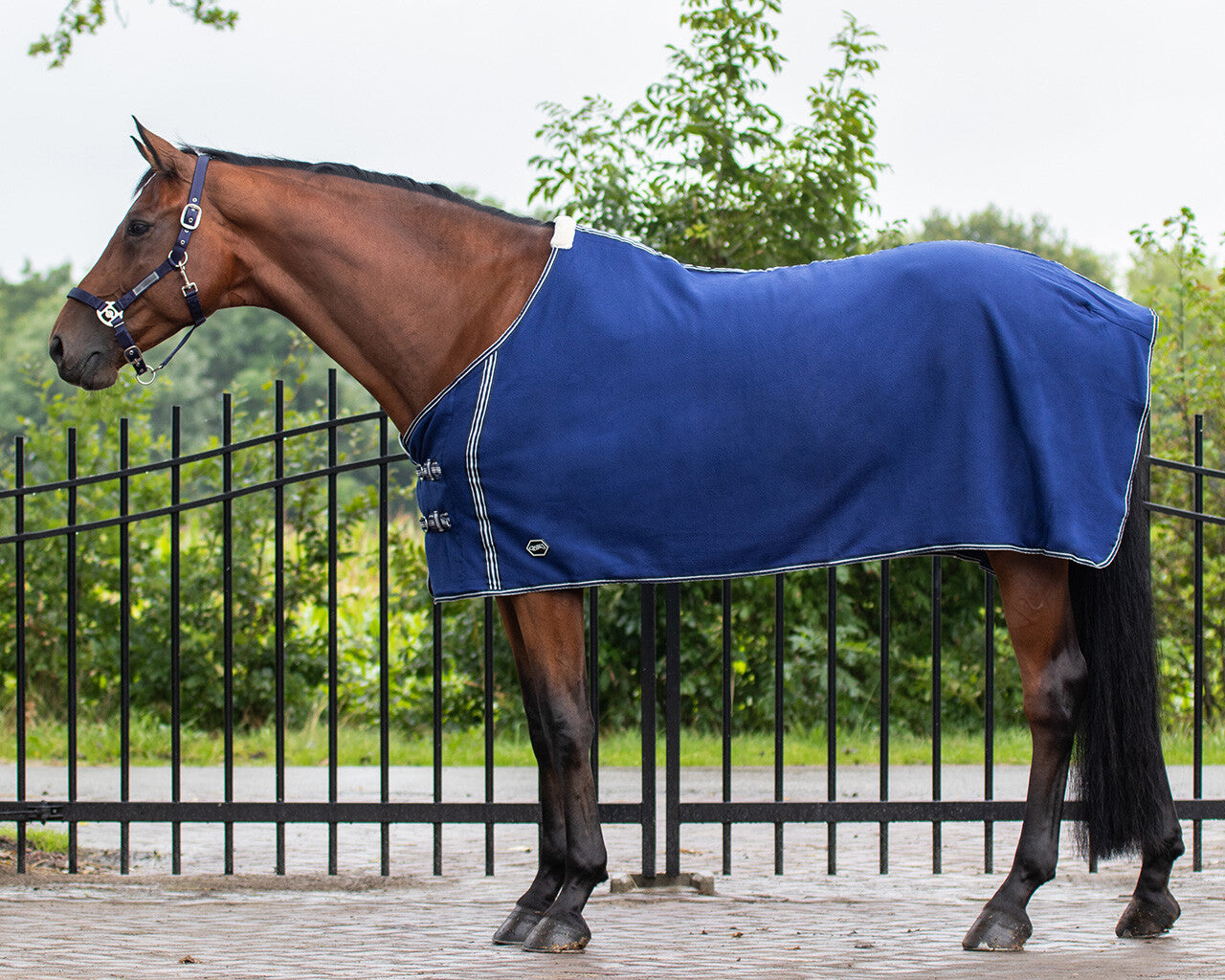 Fleece rug Basic without cross surcingles