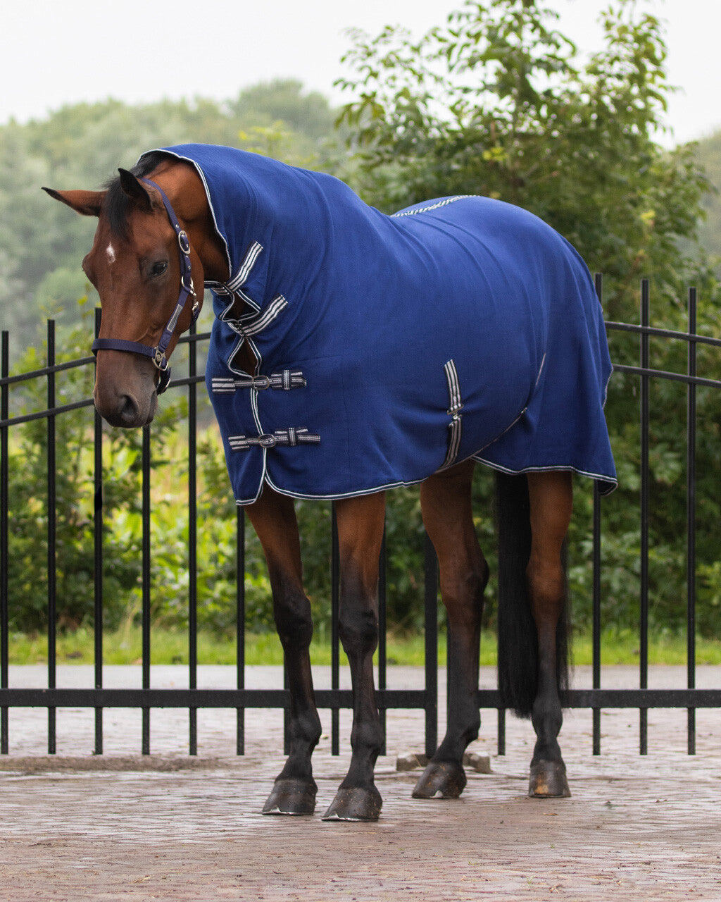 Fleece rug basic with neck