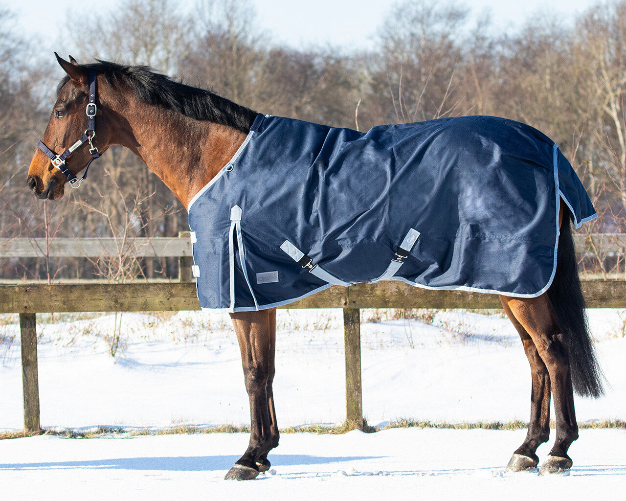 Turnout rug 600D 200gr
