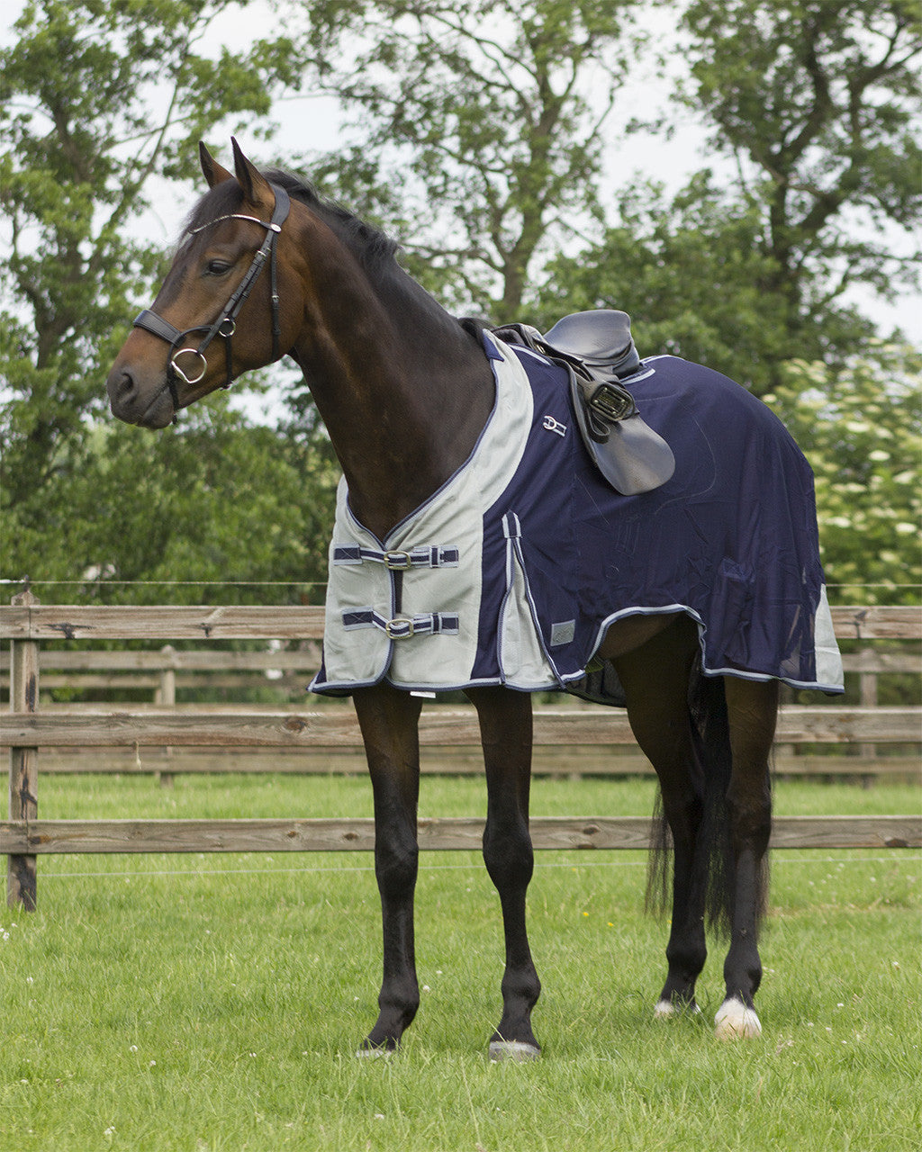 Exercise fly sheet with neck