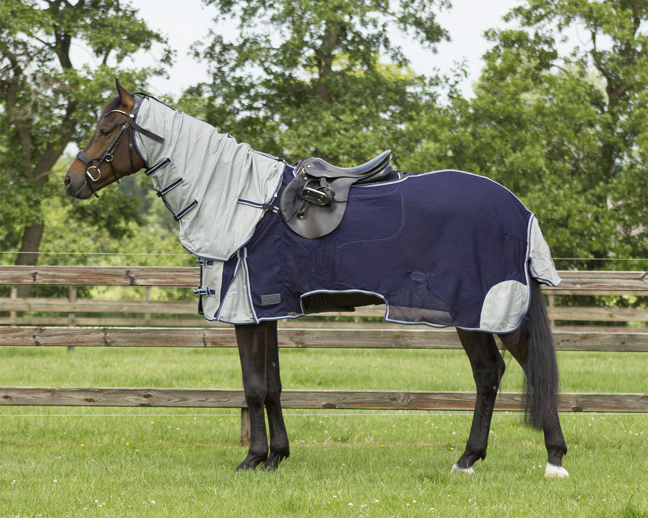 Exercise fly sheet with neck
