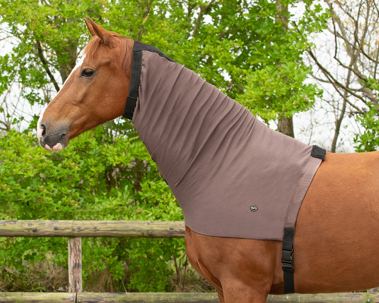 Eczema neck cover
