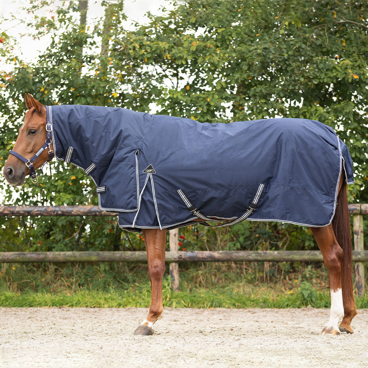 Turnout rug 600D with neck 300gr