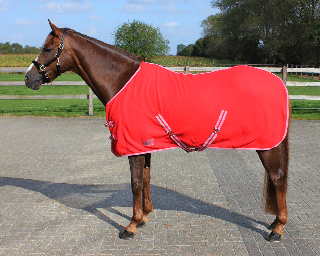 Fleece rug Color with cross surcingles