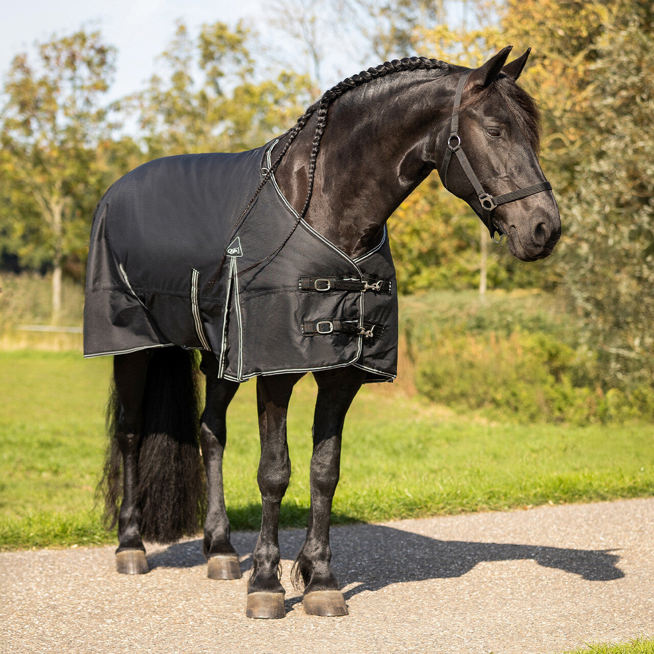 Turnout rug Big neck 0gr