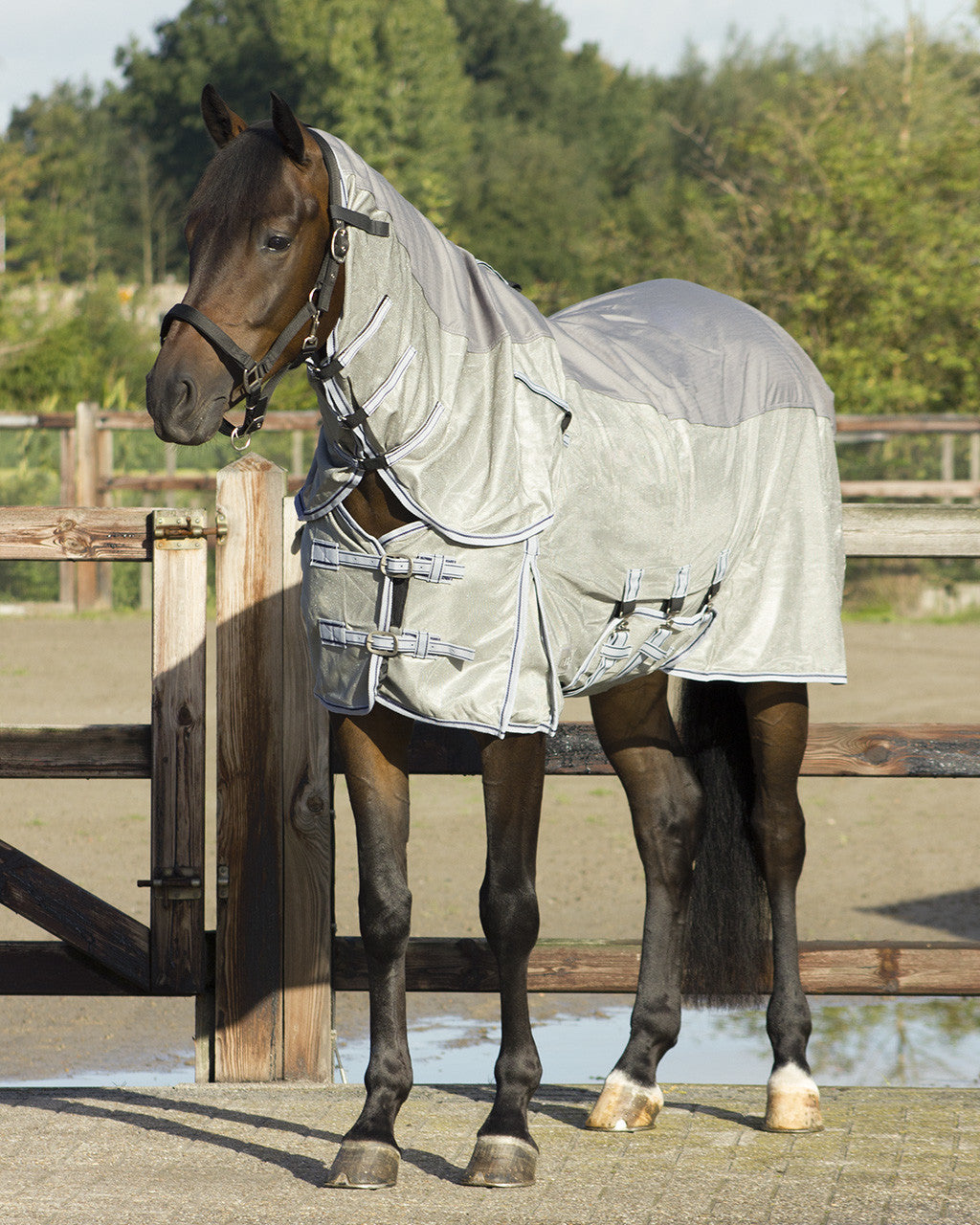 Anti-fly rug Combo with neck