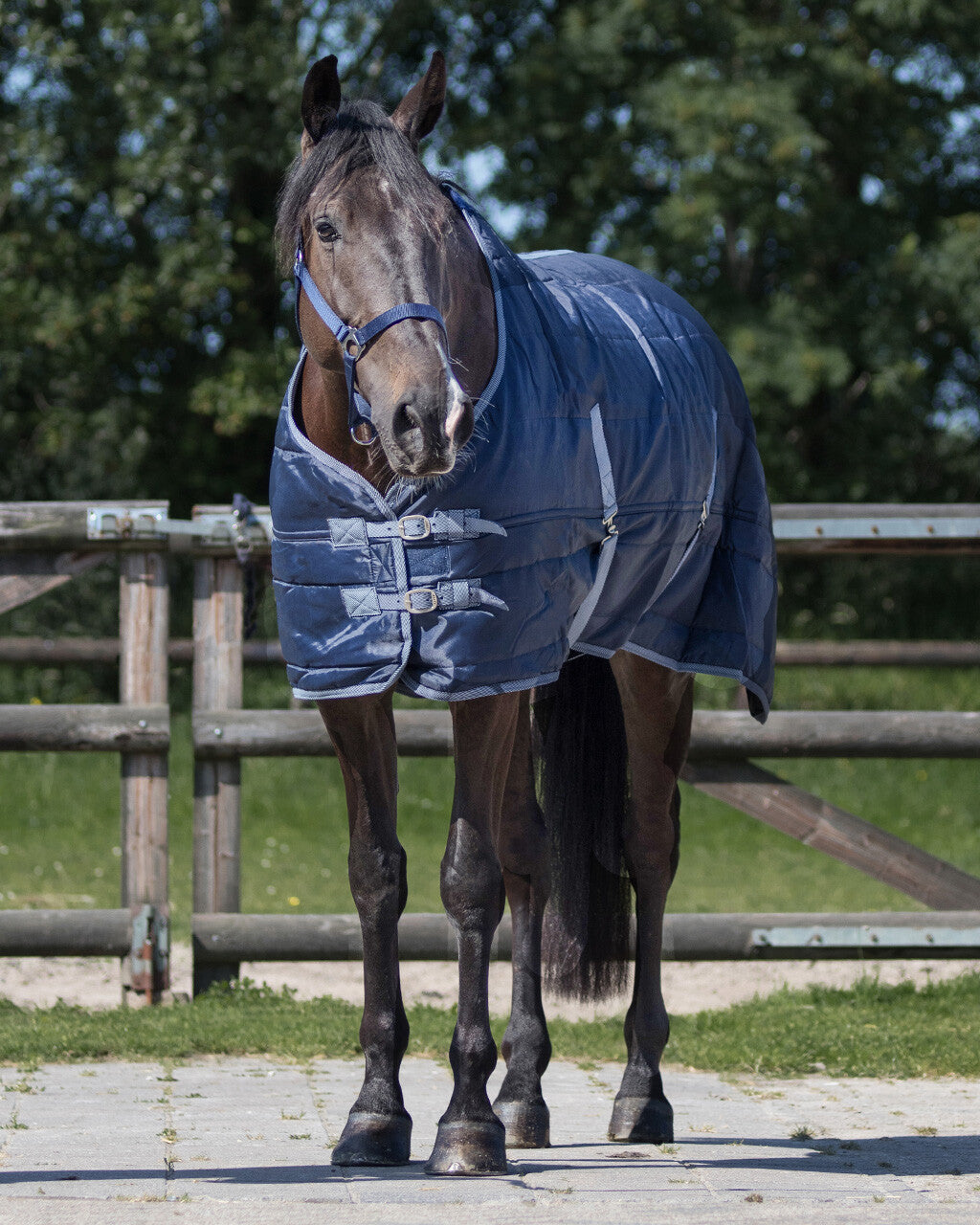 Stable rug Start 150gr