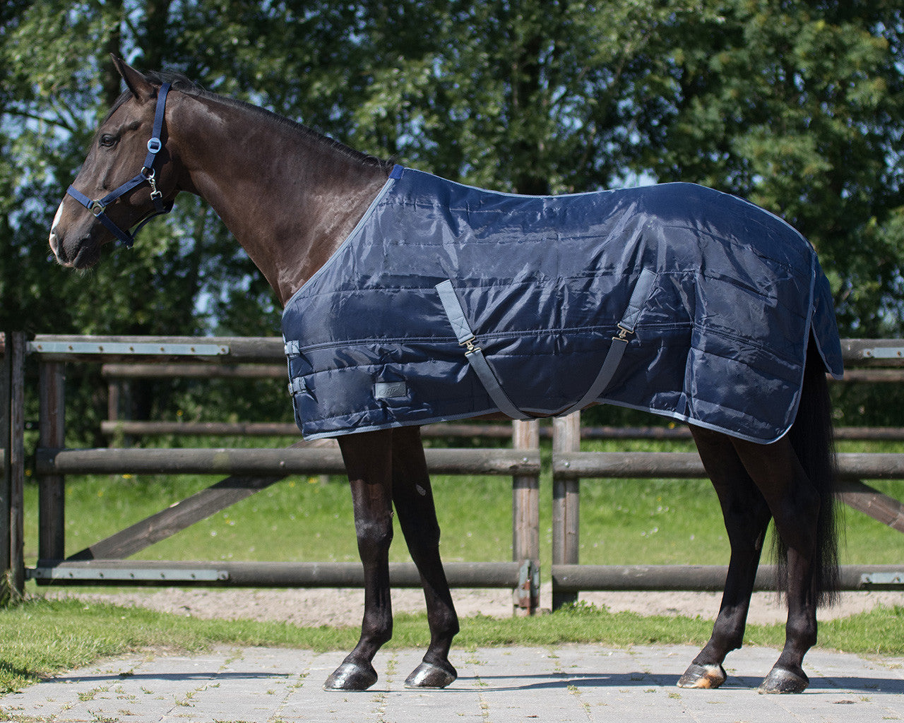 Stable rug Start 150gr