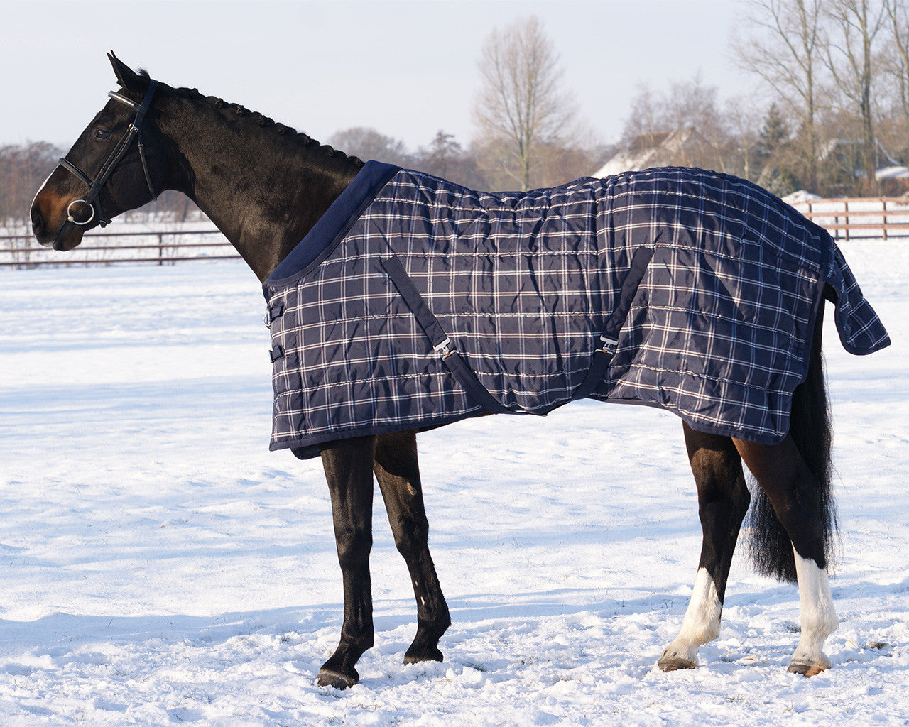 Stable rug luxury 150gr