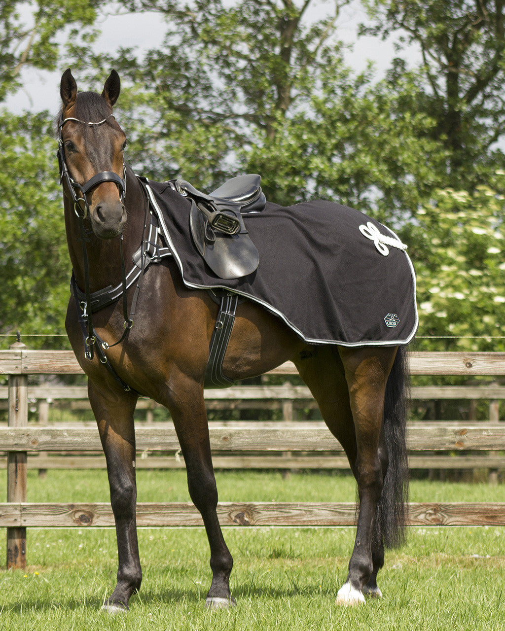 Exercise fleece rug Eldorado