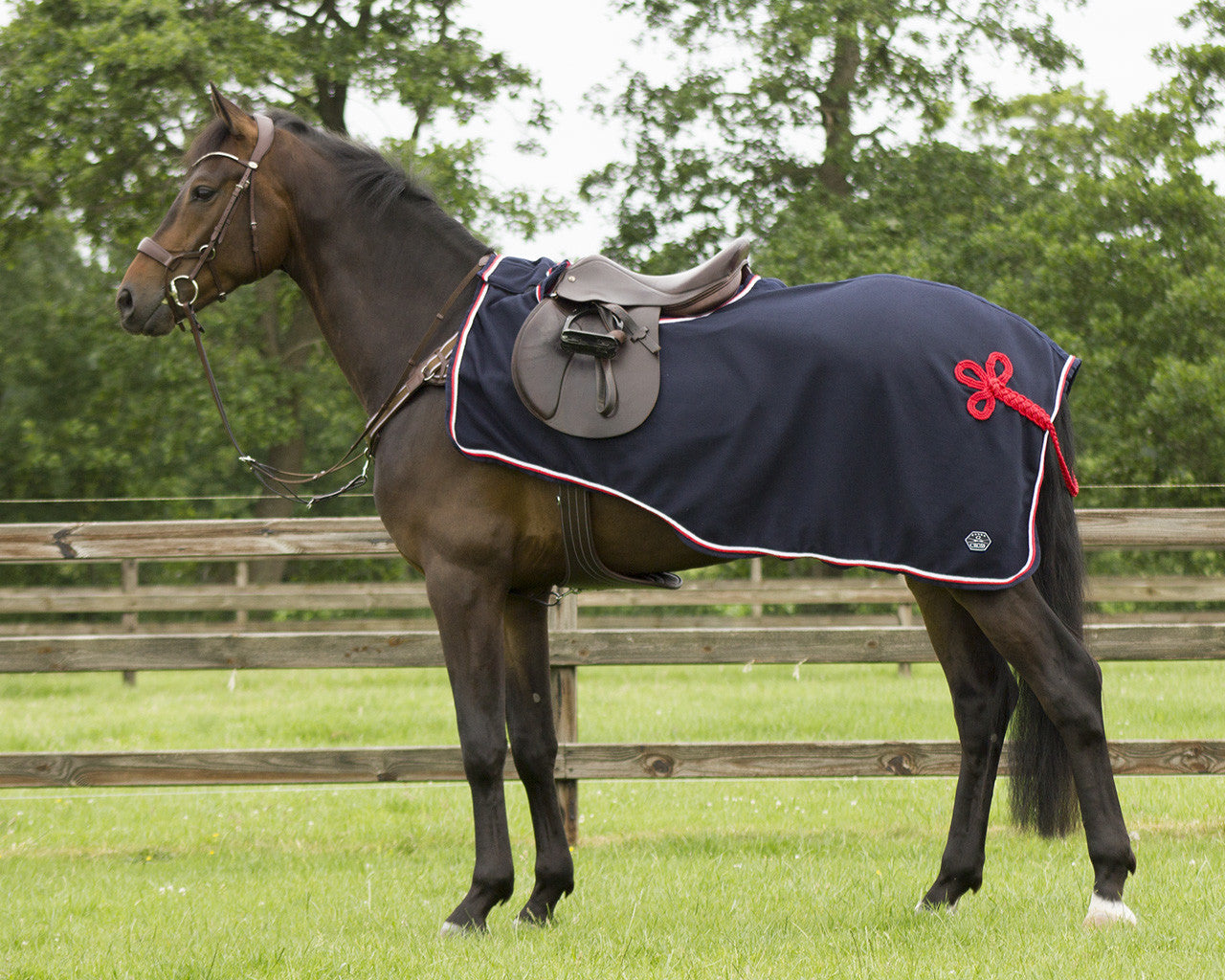 exercise fleece rug eldorado