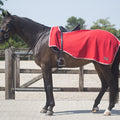 Exercise rug fleece Color