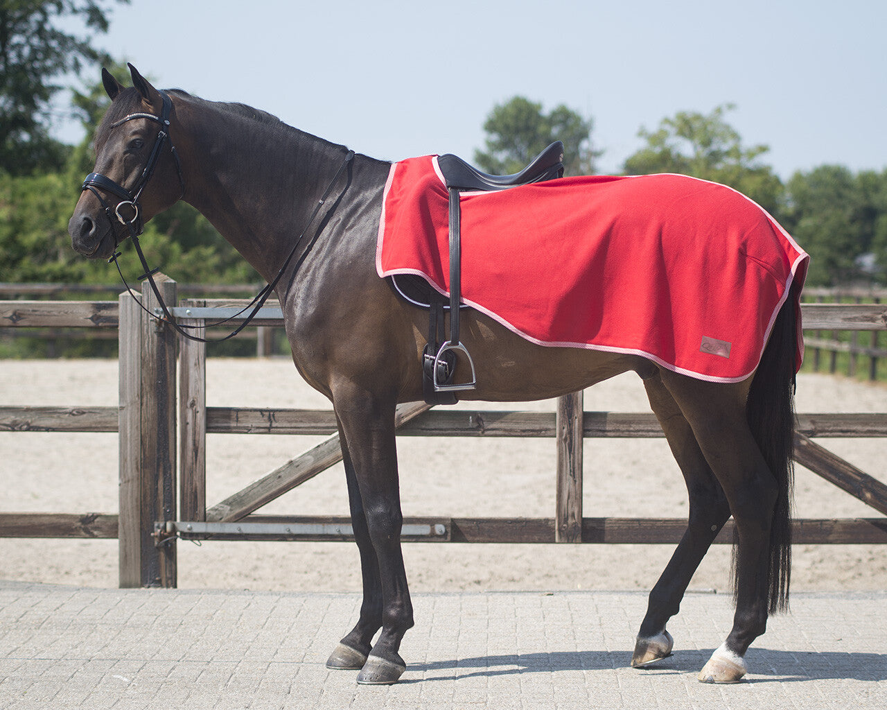 Exercise rug fleece Color