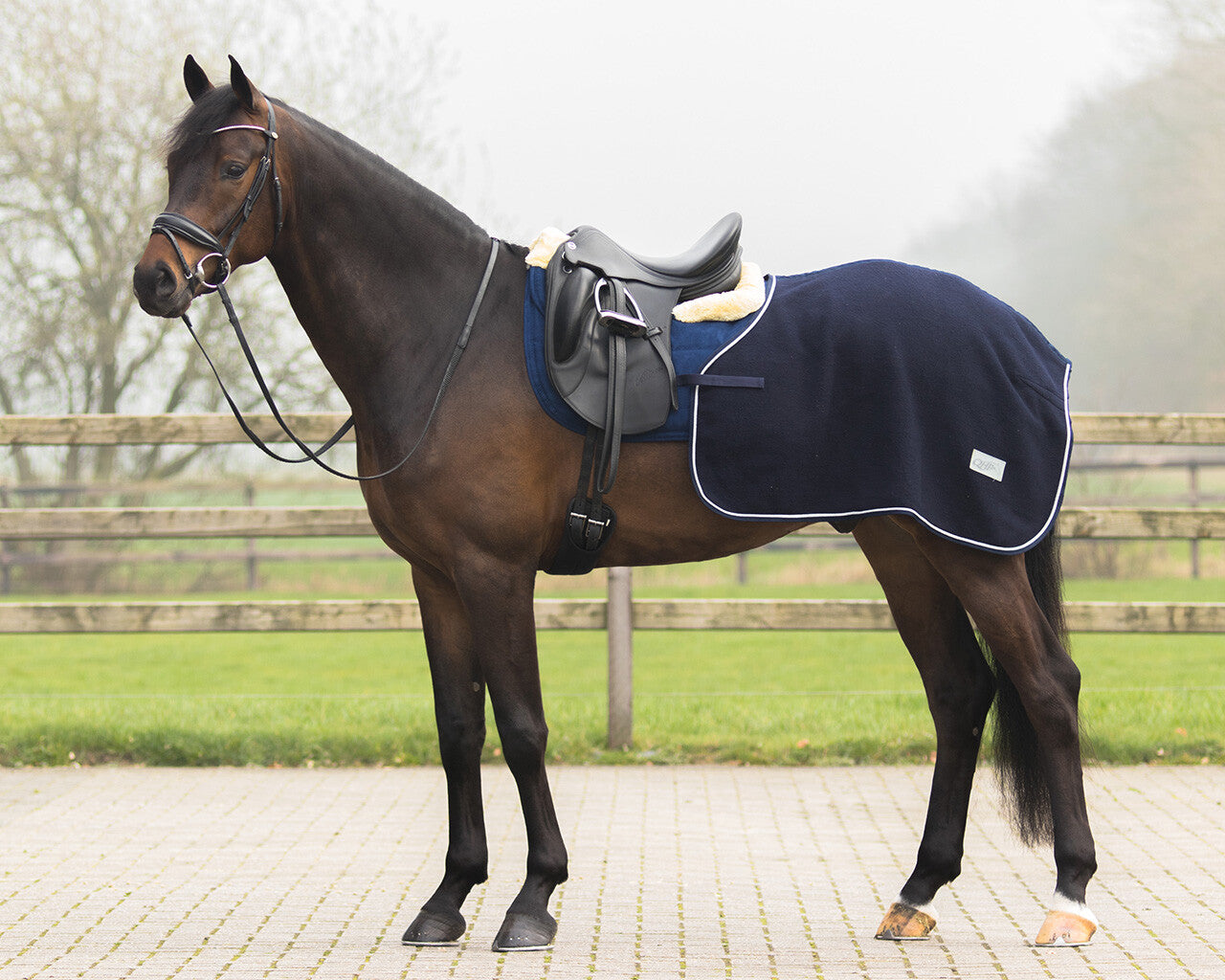 Exercise rug wool Quarter
