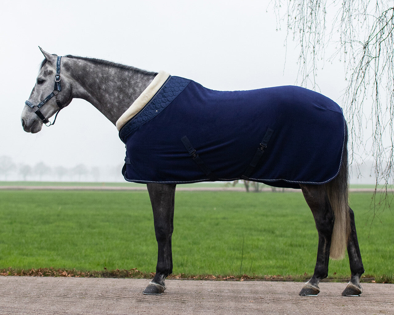 Fleece rug Brilliance