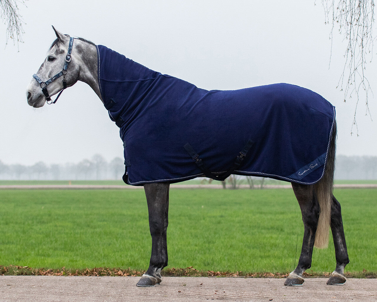 fleece rug brilliance with neck