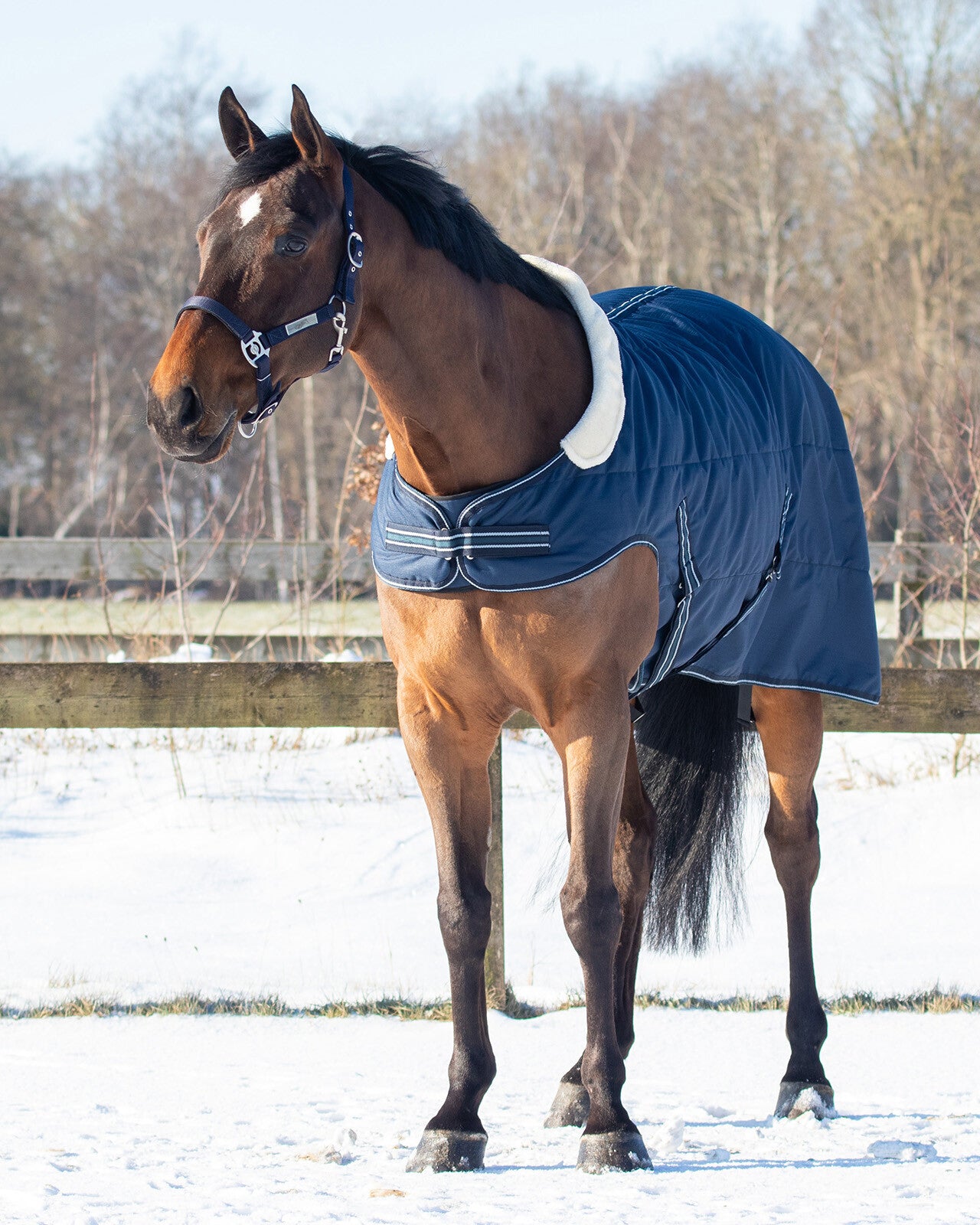 Stable rug 200gr with shoulder cut out