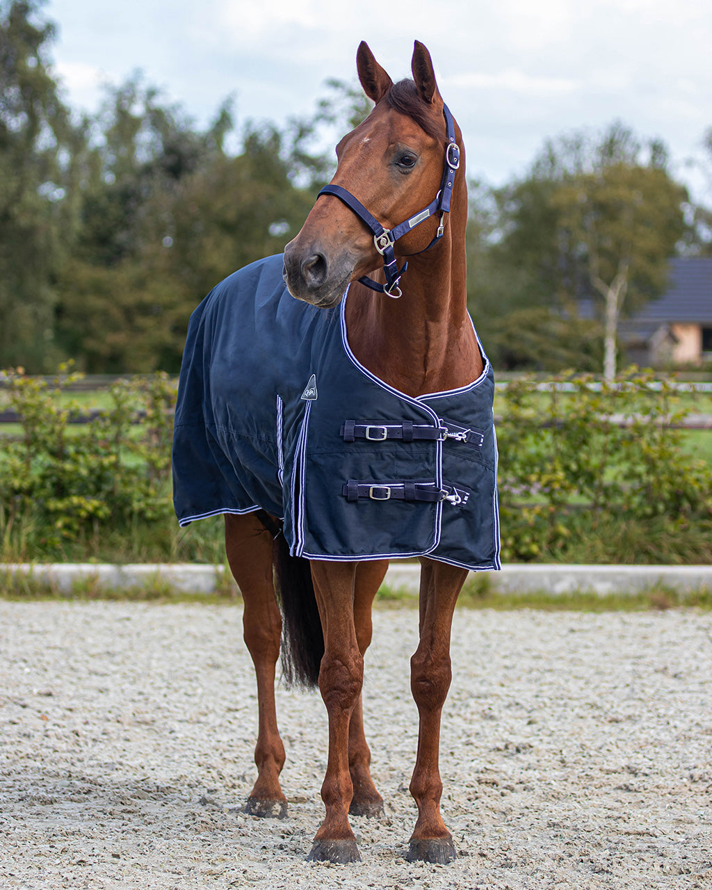Turnout rug luxury fleece