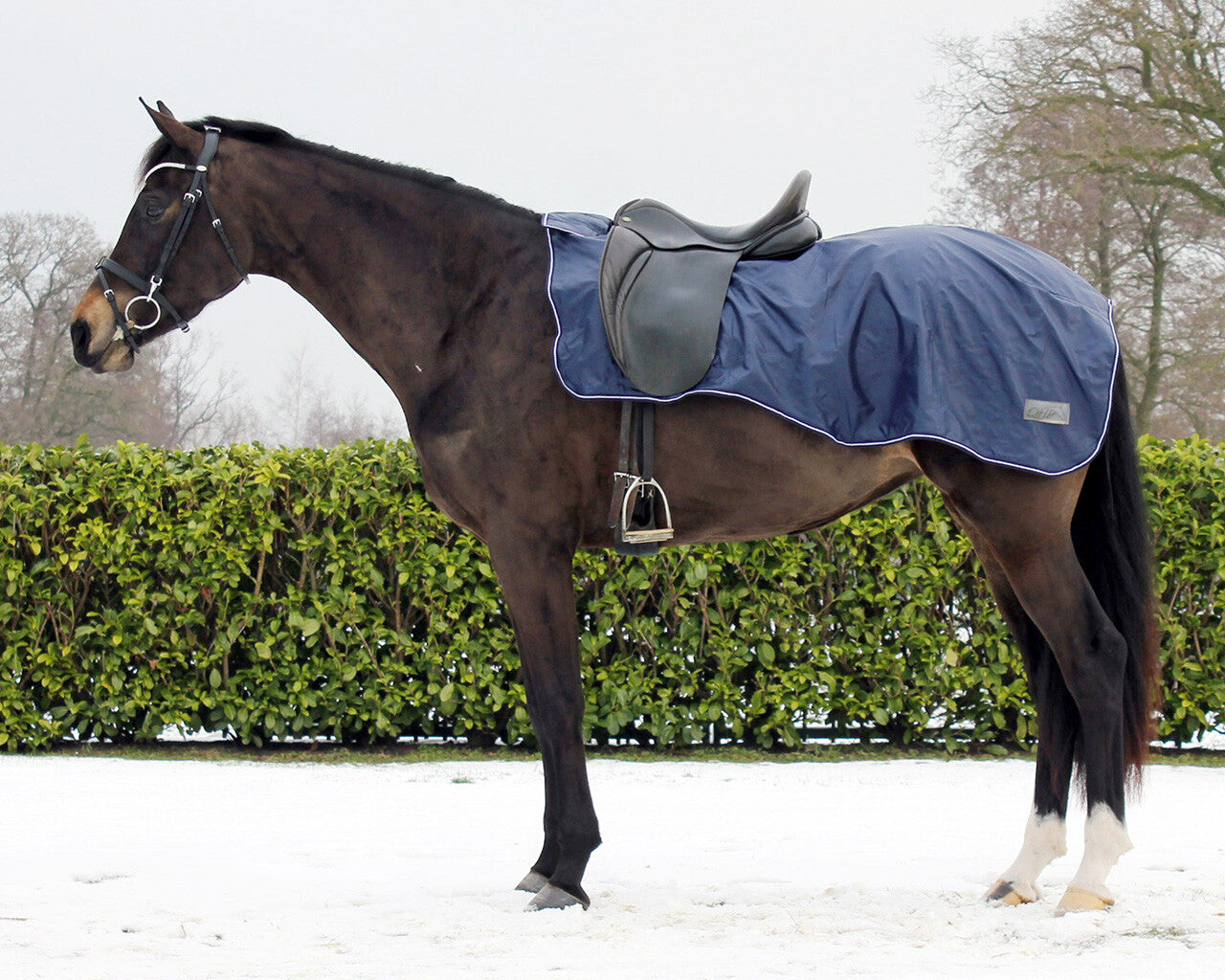 Exercise sheet with fleece lining