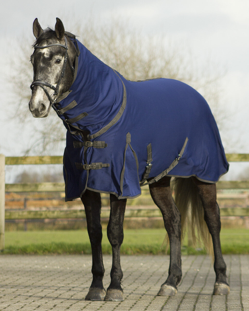 Quick dry cooler with neck