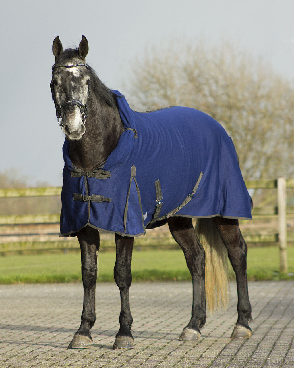 Quick dry cooler with neck