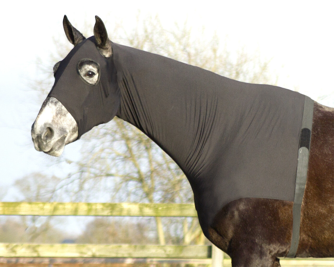 Elastic neckprotector