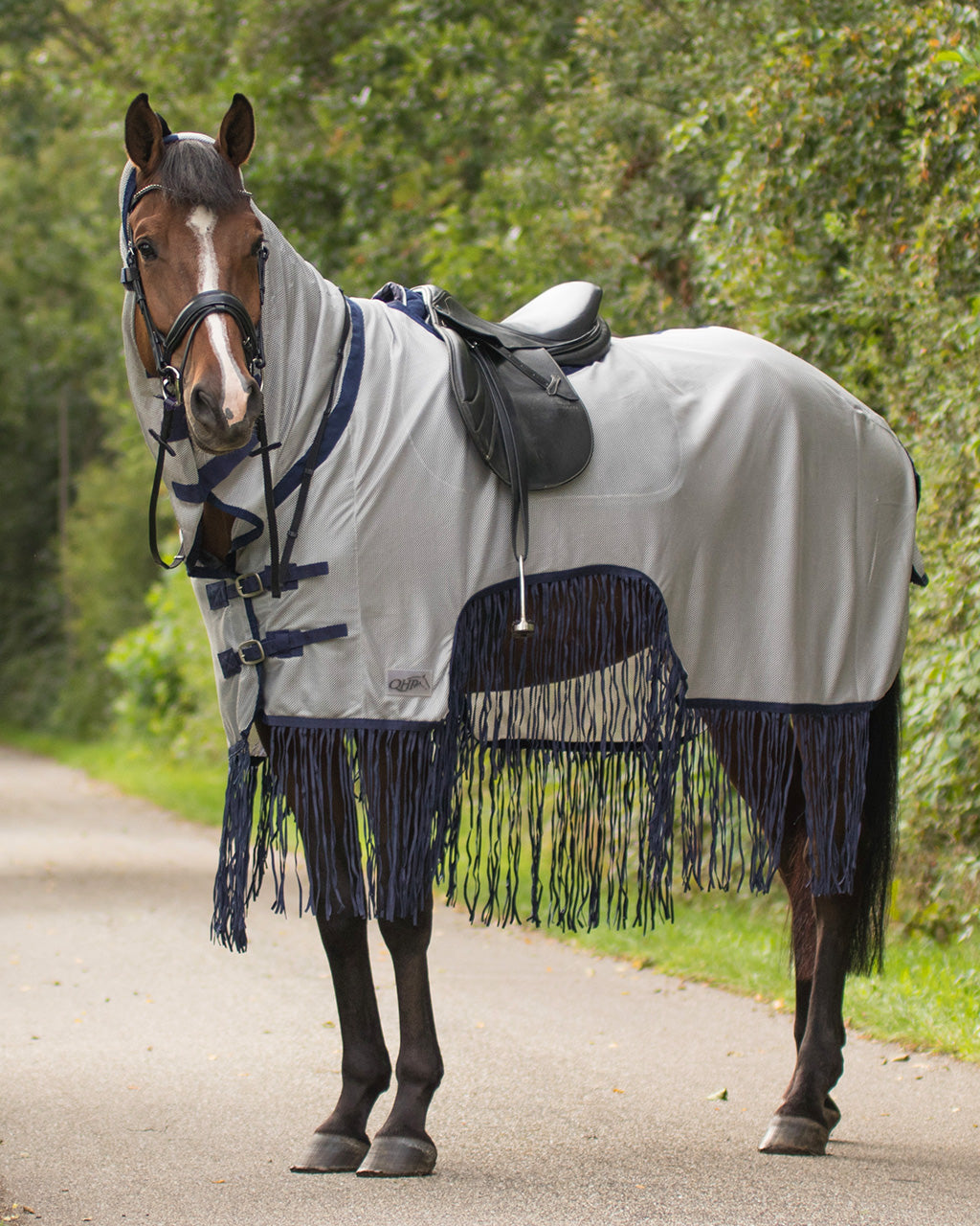 Exercise fly sheet with fringes