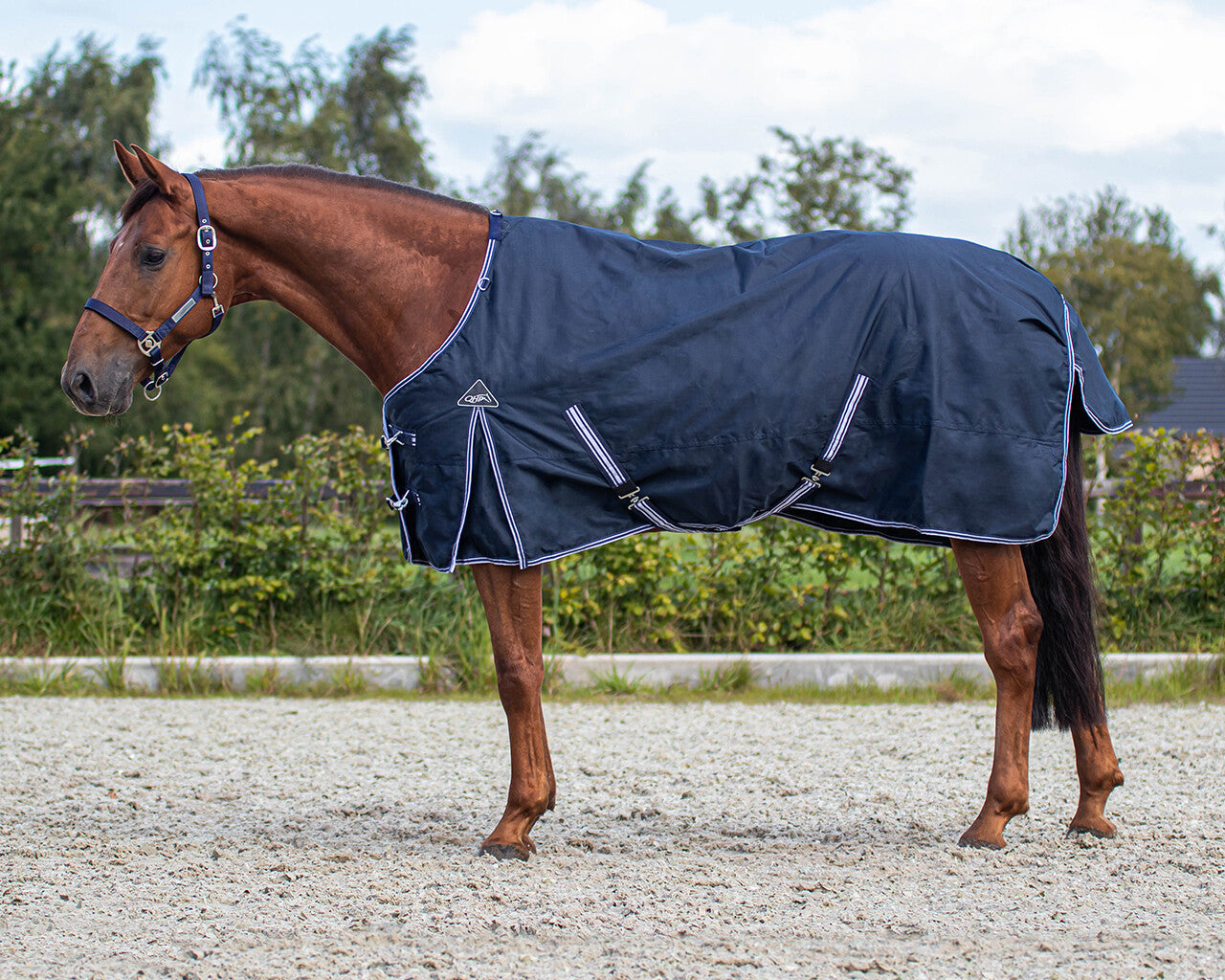 Turnout rug luxury 50gr