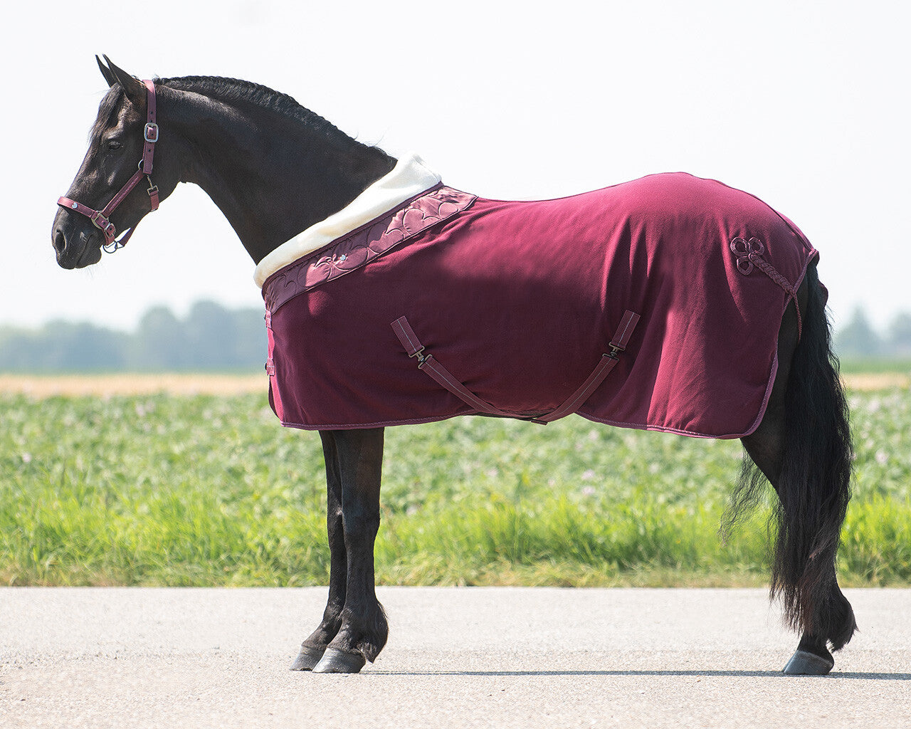 fleece rug lily