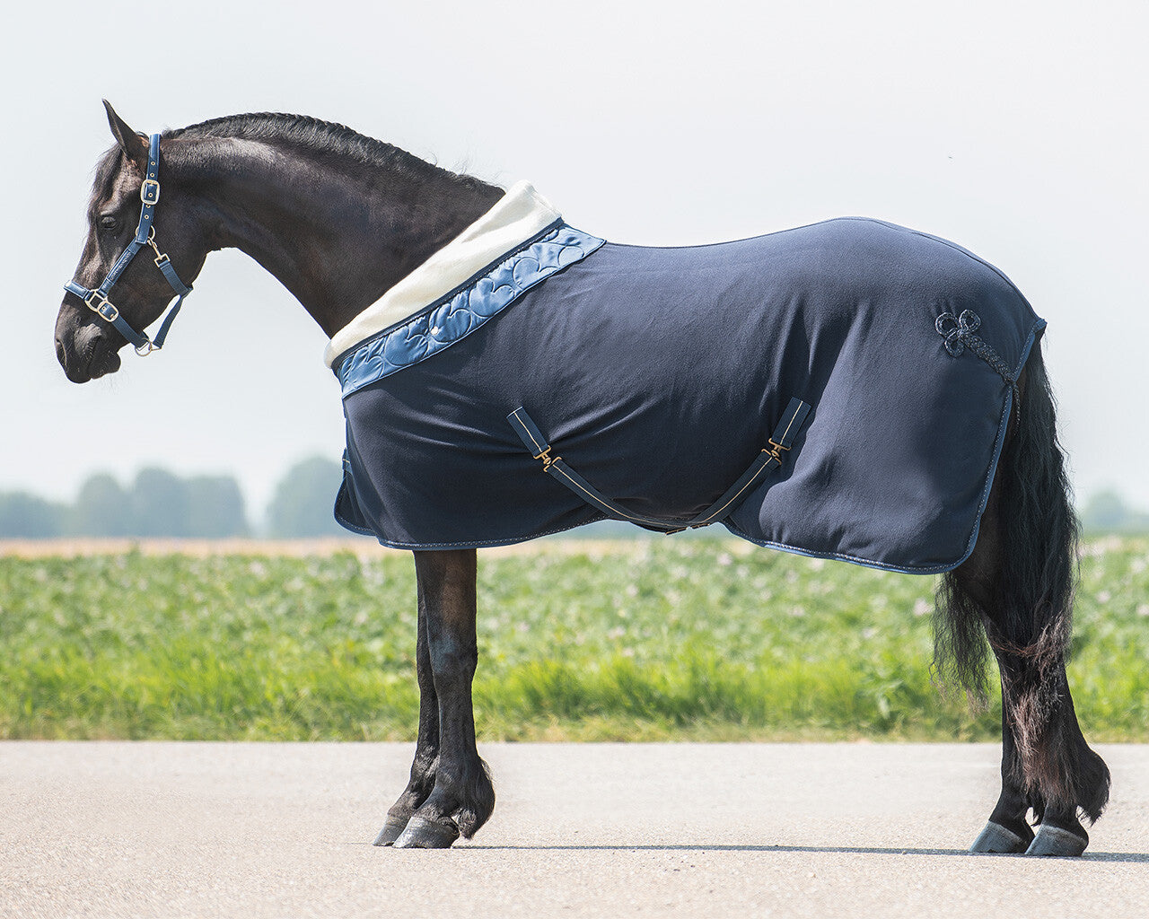 fleece rug lily